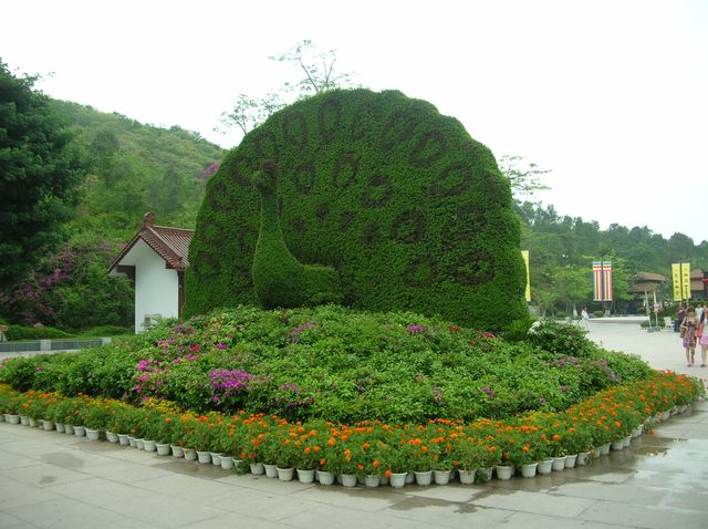 Зелёный павлин на входе в буддийский комплекс Наньшань. Хайнань