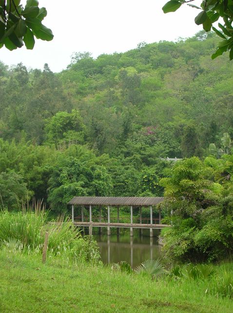 Мостик на озере. Буддистский комплекс Наньшань. Хайнань