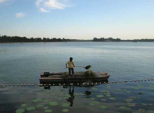 Чистка озера Куньминху от водорослей. Пекин