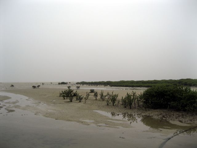 Отлив на море возле города Бэйхай