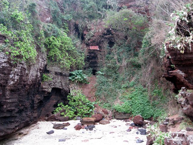 Скалы, покрытые тропической растительностью возле морского побережья города Бэйхай