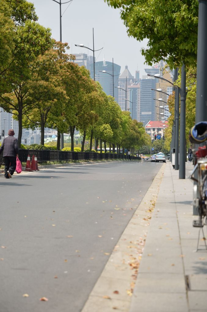 Аллея с видом на район Пудун. Шанхай