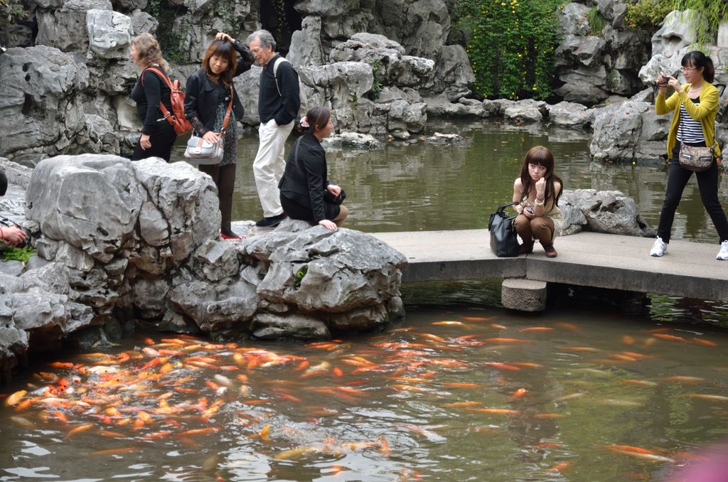 Пруд с золотыми рыбками в парке Юй Юань