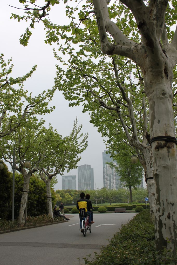 Парк Века, город Шанхай