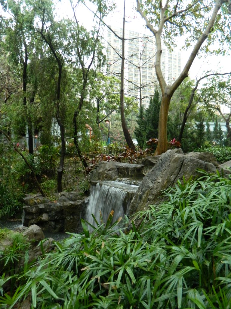 Shing Mun Valley Park, Гонконг