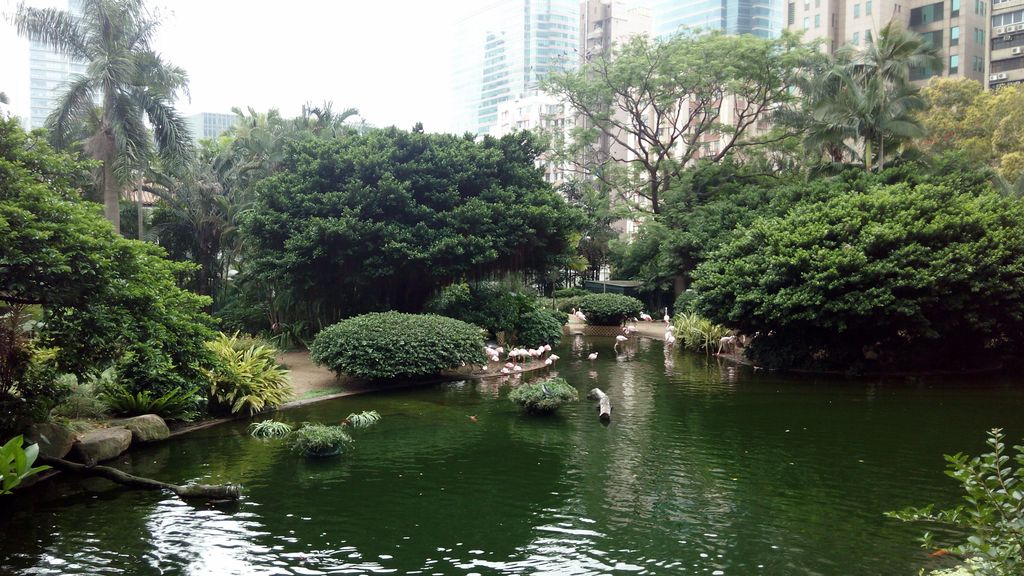 Парк Коулун, Гонконг