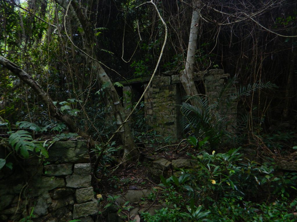 Старое заброшенное поселение на острове Ламма, Гонконг
