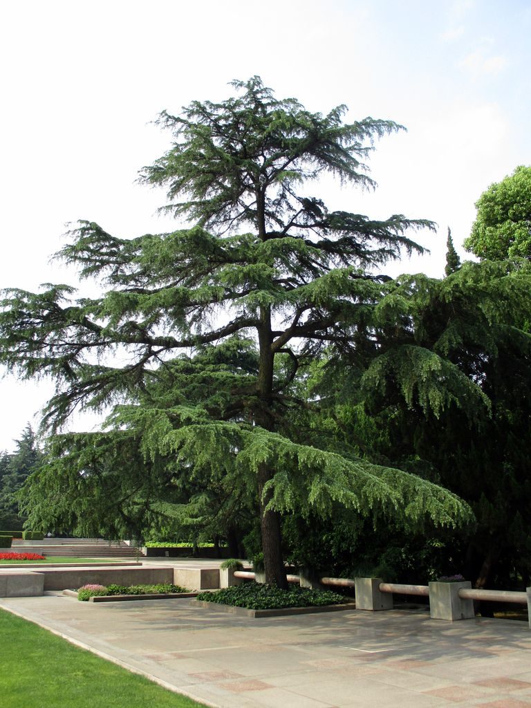 Мемориальный парк Longhua Martyrs' Cemetery, Шанхай