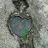 Сердце на камнях