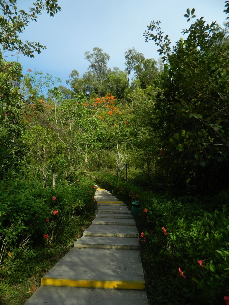 Linchunling Forest Park, Санья