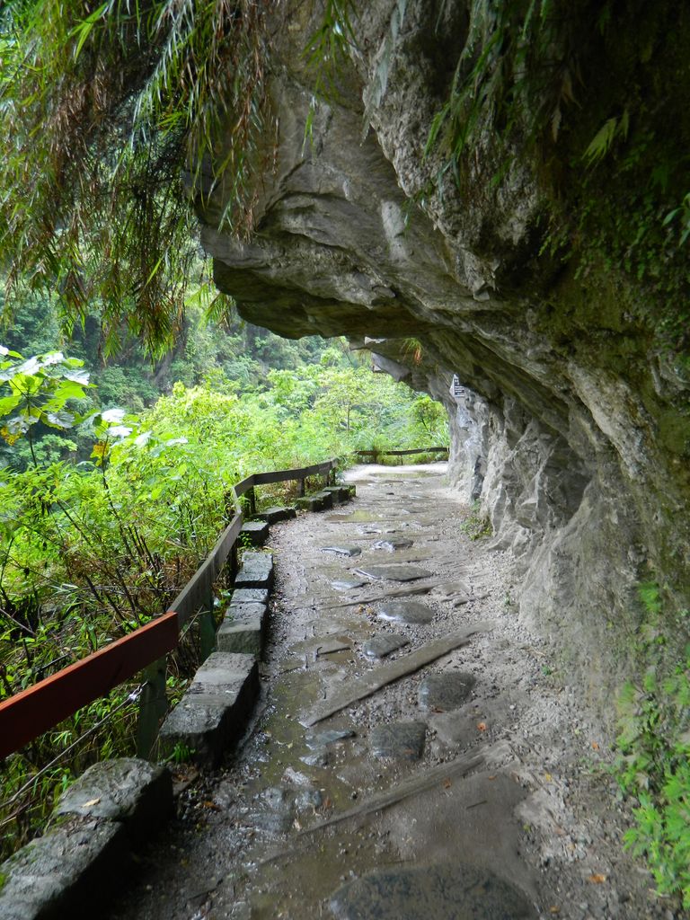 Shakadang Trail, Тароко